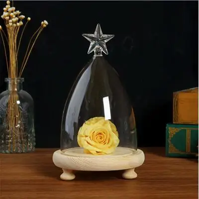 1set star dome Диаметр = 10 см стеклянная купольная ваза с деревянной основой для украшения дома различные верхние стеклянные купольные друзья Подарочное свадебное украшение - Цвет: 1set star dome