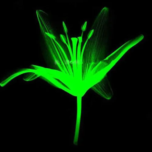 Супер ярко светится в темноте на окружающую среду флюоресцентным порошком