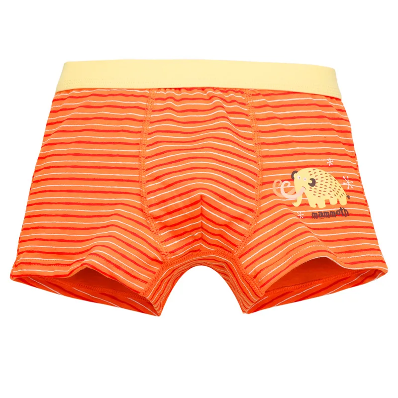 Детское хлопковое нижнее белье из 3 предметов детские трусы с рисунком динозавра