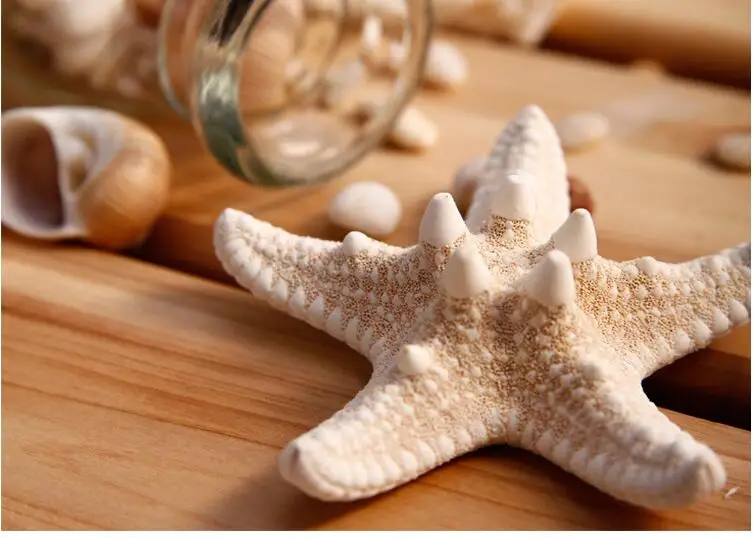 4 7 см белый натуральный воздух сушеная Морская звезда пляж тематический