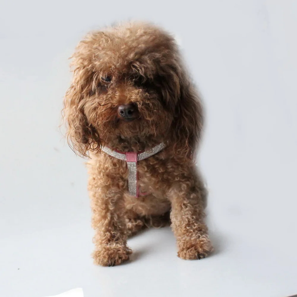 Rhinestone Pets Chest Straps Double-deck Exceed The Dog. Soft Down Noodles Cortex Tow Articles JJ-XQ13 |