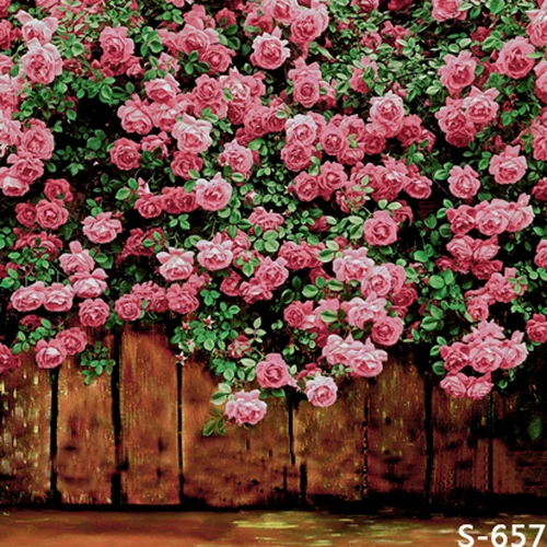 

Digital Printed Vinyl Backdrops for Photography Baby Shower Background Studio Custom Camera fotografia