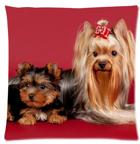 Милый красный фон смешно Йоркширский Терьер Наволочки 35x35 cm Отличное Качество