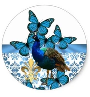 1 5inch pretty peacock and blue butterflies classic round sticker