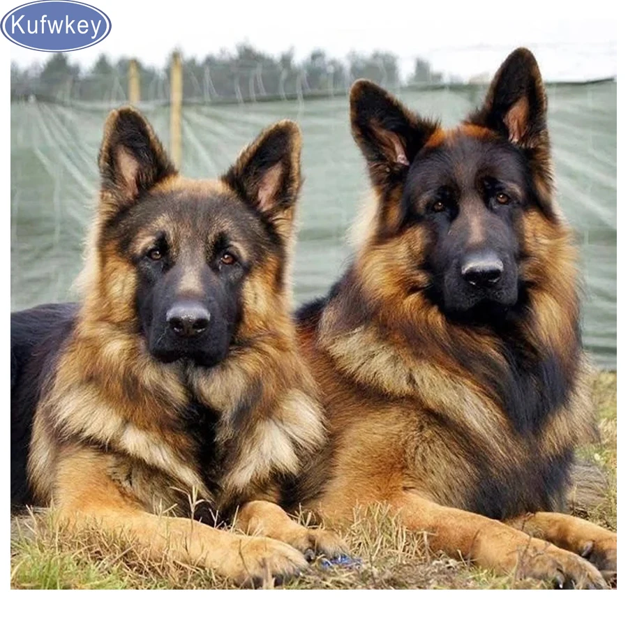 Полная Алмазная вышивка с собакой 5D алмазная живопись немецкая овчарка домашнее