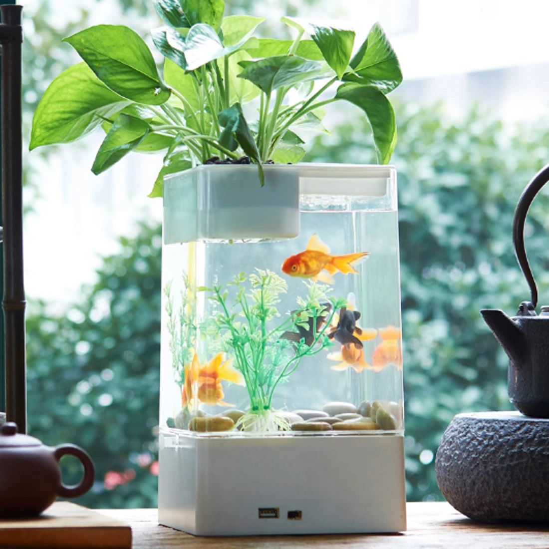 PETFORU нет необходимости менять воду ленивый мини боевой аквариум стандартная