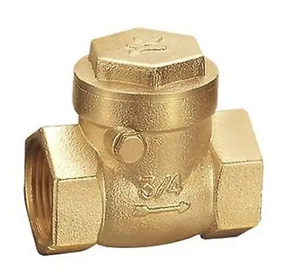 

Brass 1" inch Female BSPP Thread Swing Check Valve
