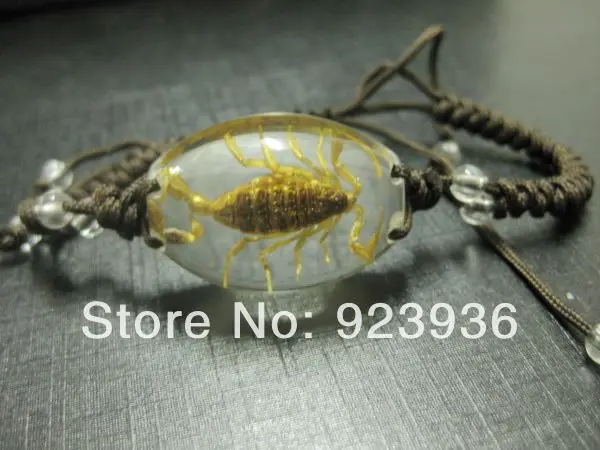 10 шт. смешанный лот ЗОЛОТОЙ СКОРПИОН настоящее насекомое прозрачные бусины со
