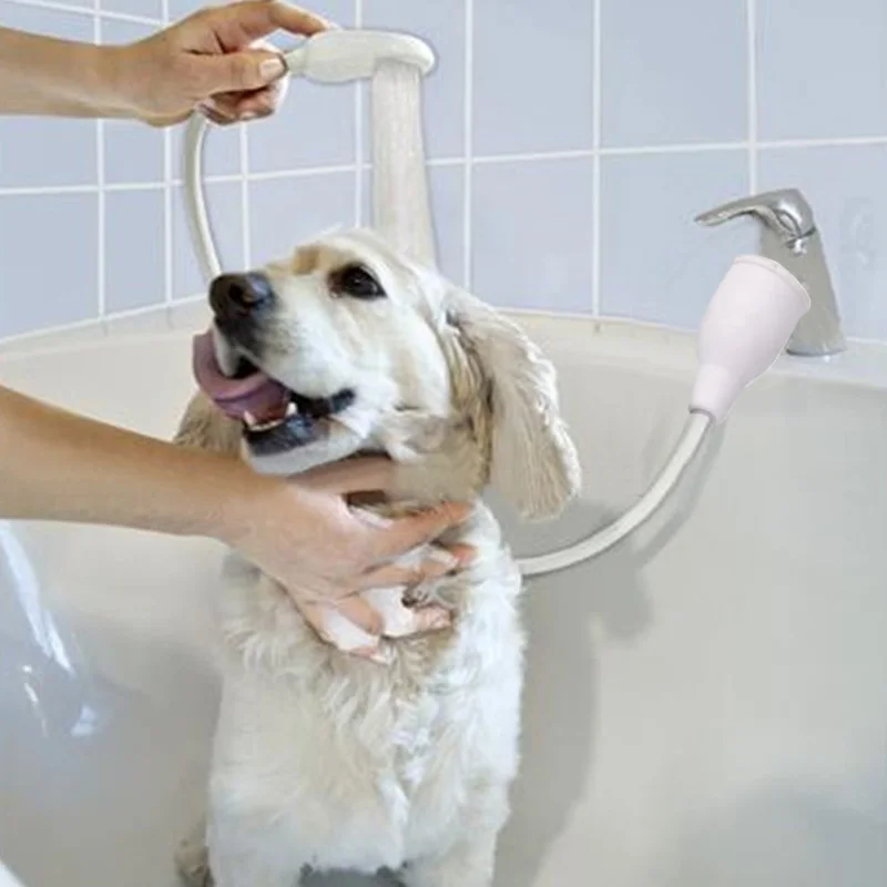 Многофункциональный Собака Кошка Тематические товары про рептилий и