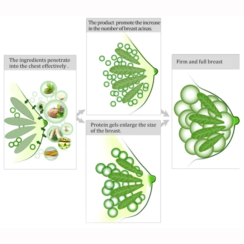 

Herbal Breast Enhancer Breast Enlargement Cream Effective Full Elasticity Increase Tightness Big Bust Body Cream Breast Care