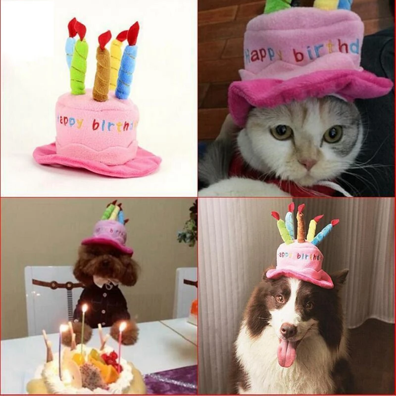 Милая собака кошка на день рождения шляпа заказ аксессуар шляпа-торт ко дню для