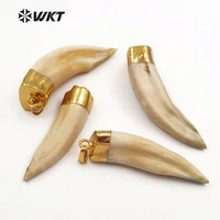 hotraw wolf tooth pendantshark tooth pendant with gold eletroplated wt p241