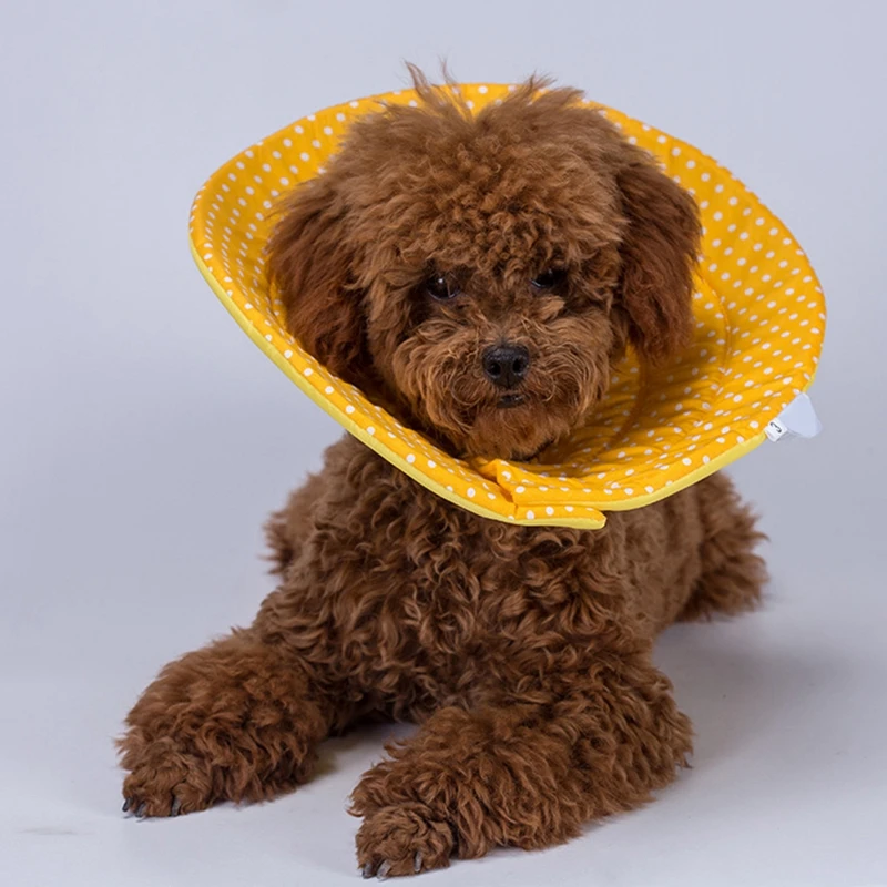 Защитный ошейник для защиты от укусов удобный электронный домашних животных |