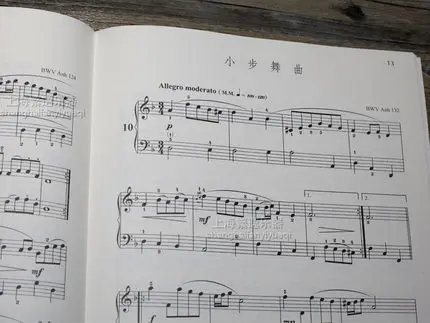 Chinese music book : Piano Collections with DVD for beginners piano training |