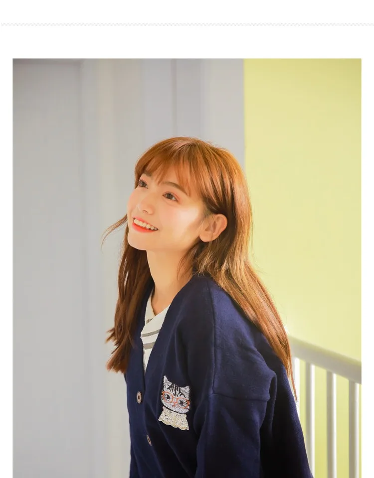 Female Cat Embroidery Cute Sweaters Preppy Style High school Girls Casual Loose Kawaii Cartoon Lovely Sweater for Women |