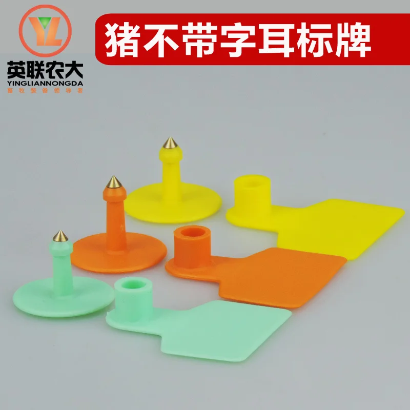 С никаких признаков из обычный слова без слово свинья свиное ухо