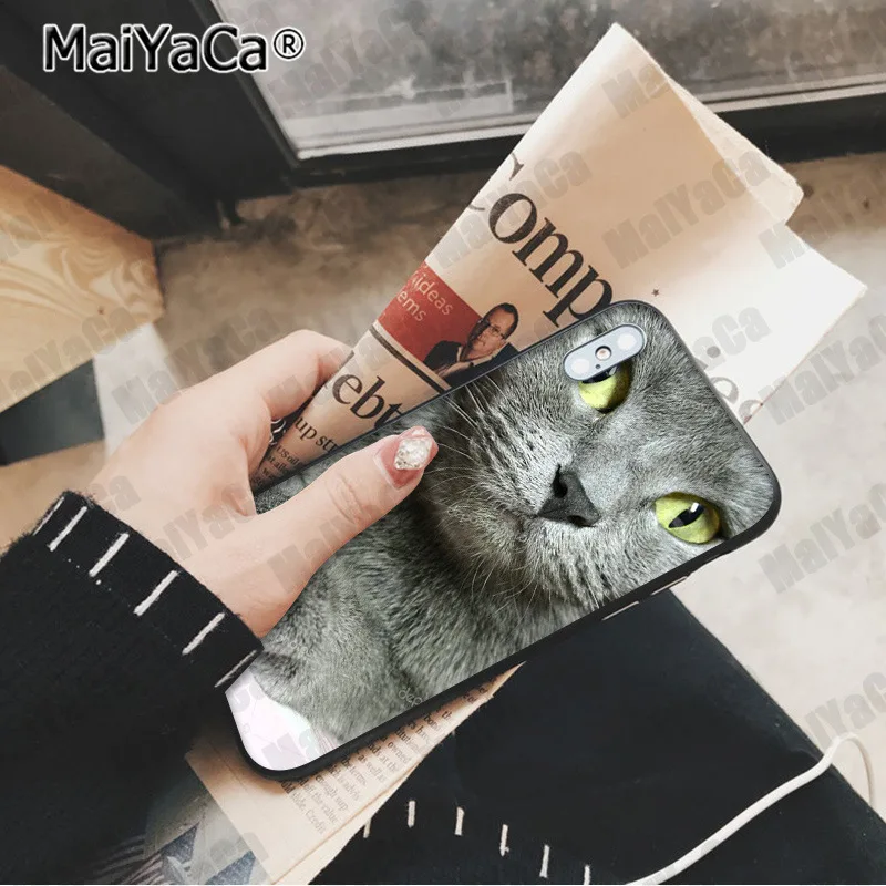 A13 MaiYaCa милый Британский короткошерстный кот Новинка чехол для телефона Fundas чехол для Apple iphone 11 pro 8 7 66S Plus X XS MAX 5S SE XR чехол - Цвет: A13