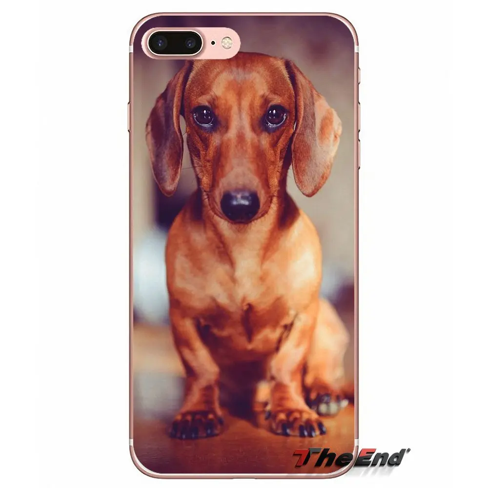 Силиконовый чехол для iPhone X 4 4S 5 5S 5C SE 6 6S 7 8 Plus Samsung Galaxy J1 J3 J5 J7 A3 A5 2016 2017 Dachshund Teckel Dackel