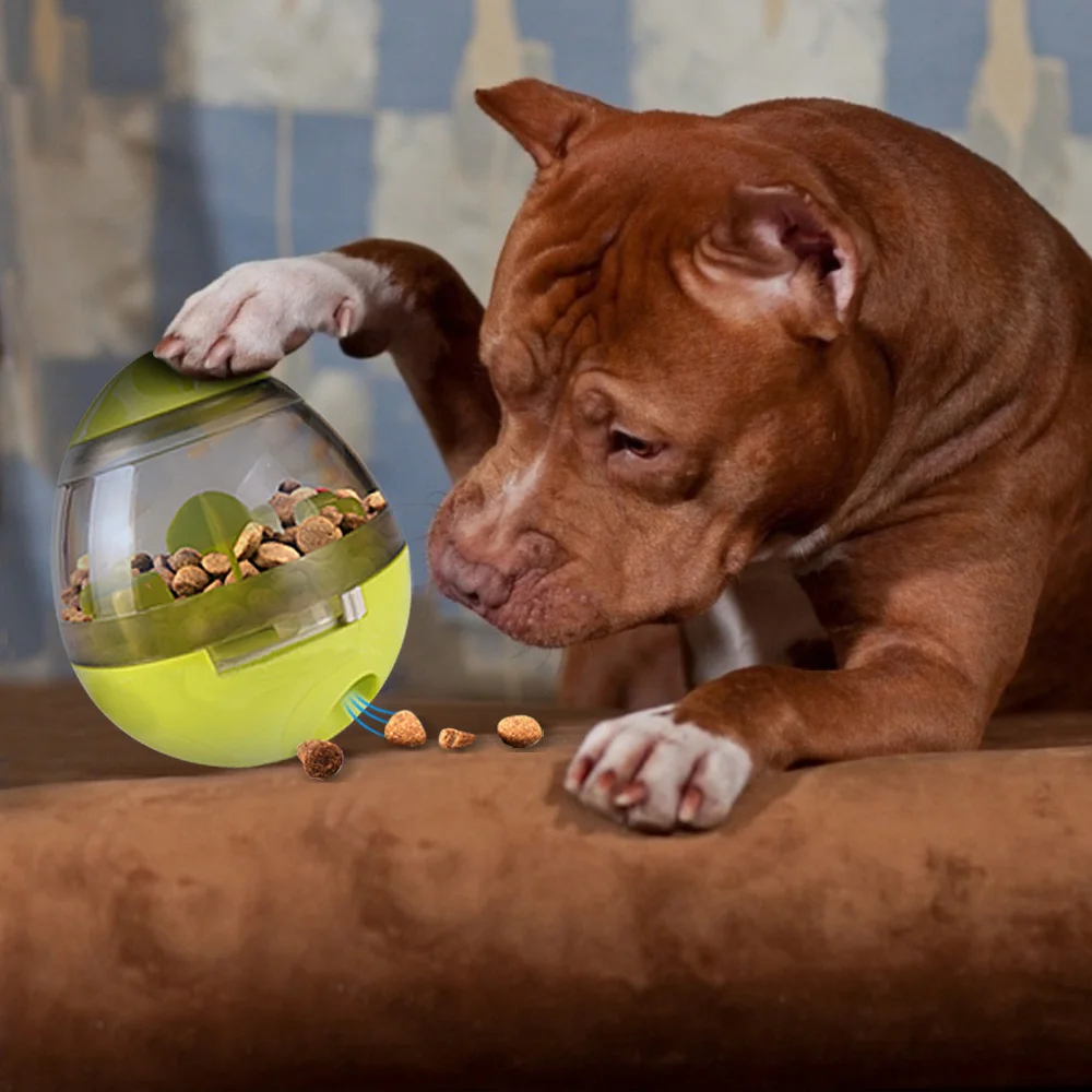 Интерактивная игрушка для домашних животных с котом IQ умным пищевым мячом