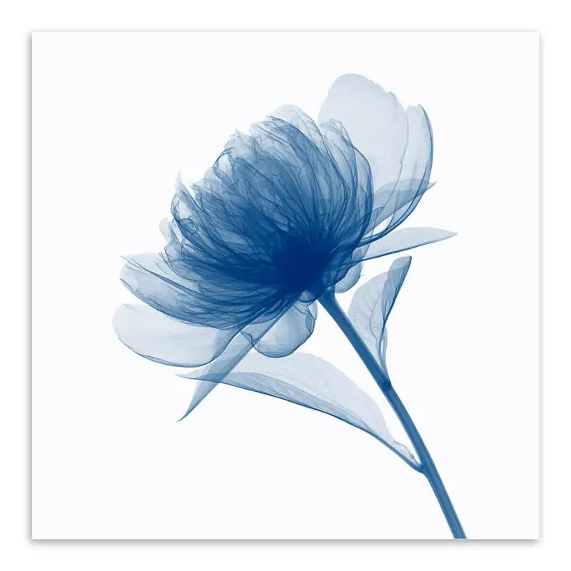 Абстрактный Цветочный Современный Простой Холст Картина скандинавский