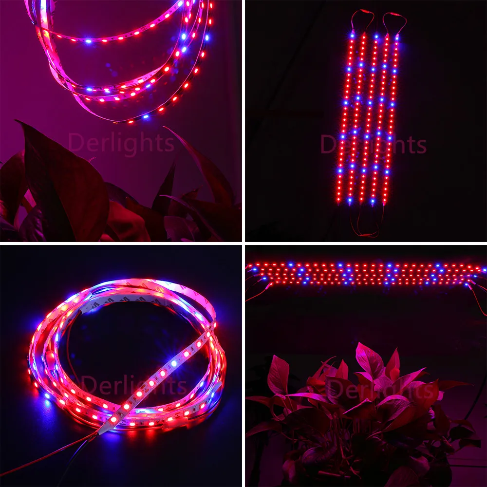 10 шт./лот 0,5 м 5 Вт DC12V SMD5050 25Red/5 синий мягкий светодиодный светильник для выращивания растений и гидропоники