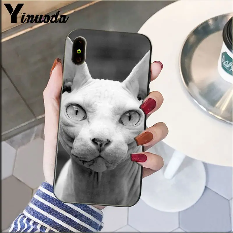 Yinuoda тату Сфинкс Кот искусство клиента высокое качество телефонный чехол для iPhone