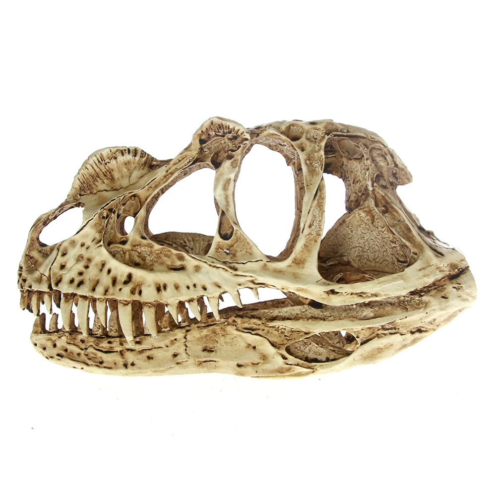 Высокая точность Ceratosaurus модель черепа Рекс Динозавр Смола окаменелый череп