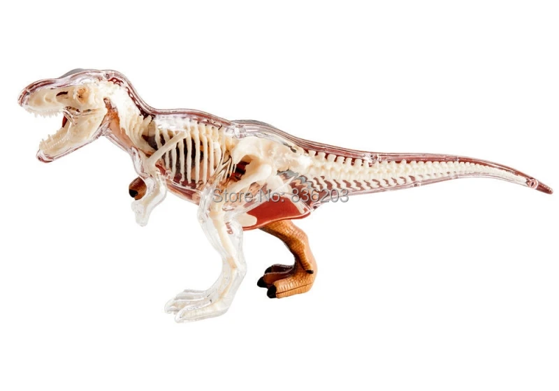 4D Master vision T-REX Анатомия динозавра модель скелета полностью съемные части тела Обучающие