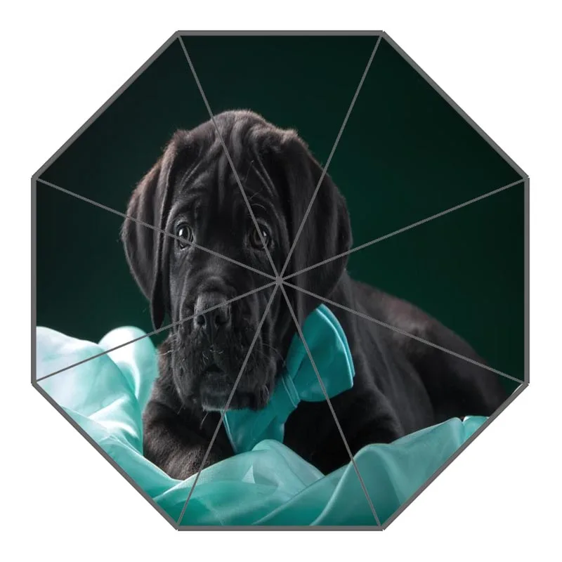 Custom Cane Corso Dog Umbrellas Polyester Fabric High Quality Sunny And Rainy Umbrella Non-Automatic Umbrella For Adults
