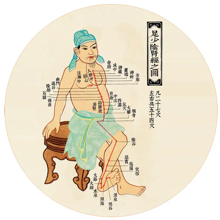 Четырнадцать меридианов настенная диаграмма династия Мин художественный музей