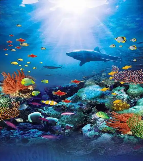 

8x8FT Under Sea Park Shark Bruce Coral Reef Rocks Sunshine Children Custom Photo Studio Background Backdrops Vinyl 2.4x2.4m