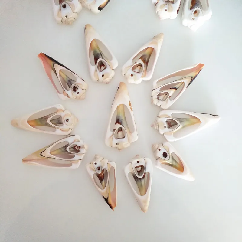 

5pcs/lot natural sea Hole-digging conch shell rustic yangtz derlook fish tank diy decoration