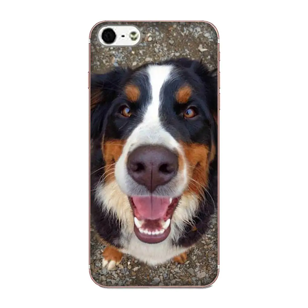 Популярный чехол Bernese Mountain Dog для Samsung Galaxy Note 5 8 9 S3 S4 S5 S6 S7 S8 S9 S10 mini Edge Plus Lite |