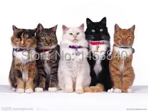 Серебряное кольцо ручной работы Cat античный кольцо Универсальный Размер 12 шт./лот