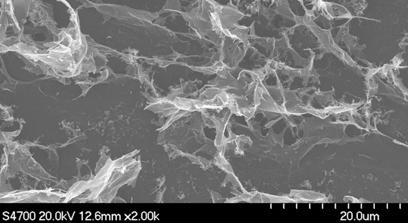 

NanoSmall size Graphene oxide DSGO-99-1-50n