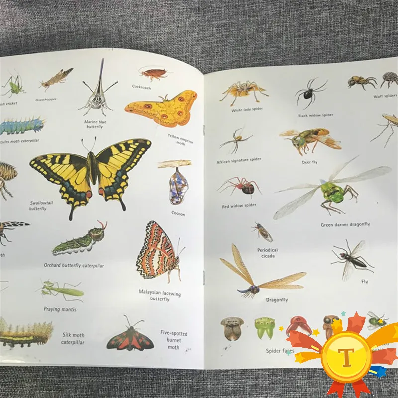 Детская книжка с наклоном на английском языке многоразовыми наклейками стикеры