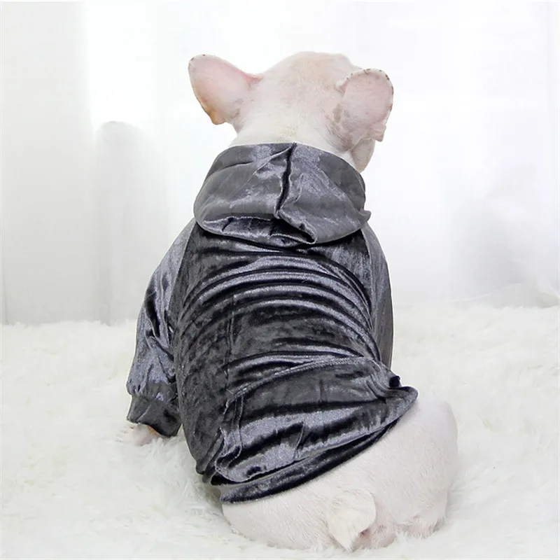 Bigeyedog Новинка весна осень собака толстовка для Мопсов, французских бульдогов Одежда для собак и щенков пальто Пудель Йоркширский терьер Bichon костюм