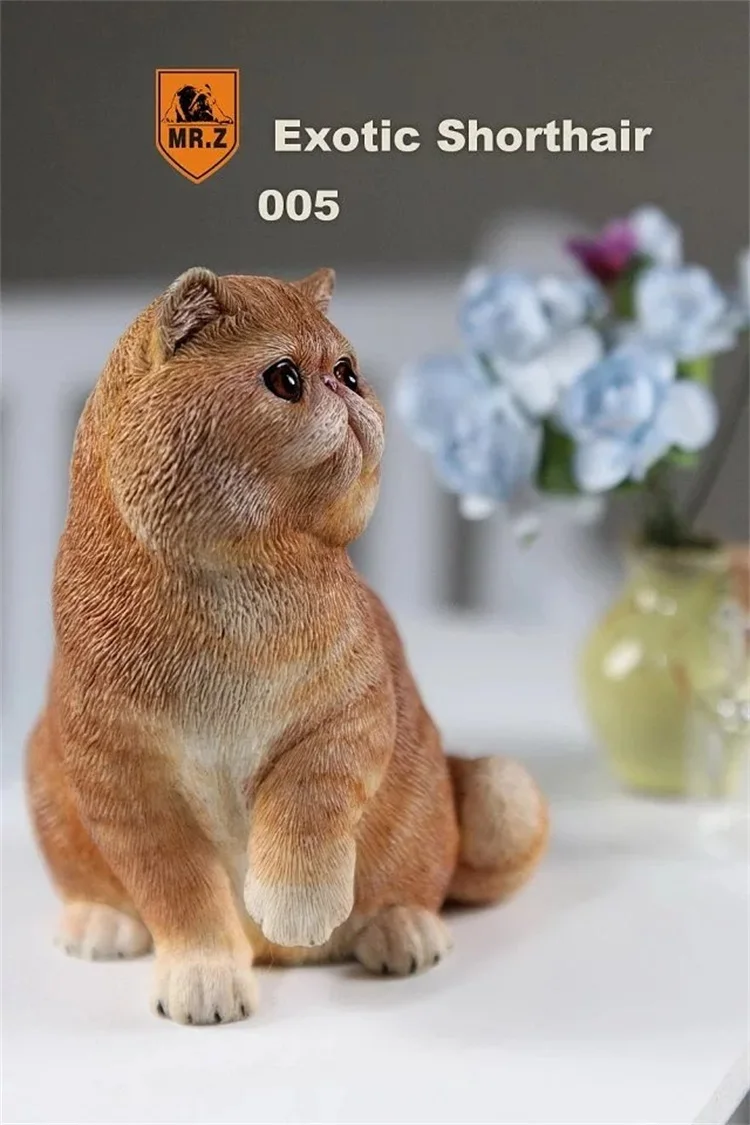 MR. Z серия «животные» № 8 1/6 экзотические короткошерстной кошки персидская кошка Гараж Комплект для детей возрастом от 1" фигурку сцена DIY украшения автомобиля