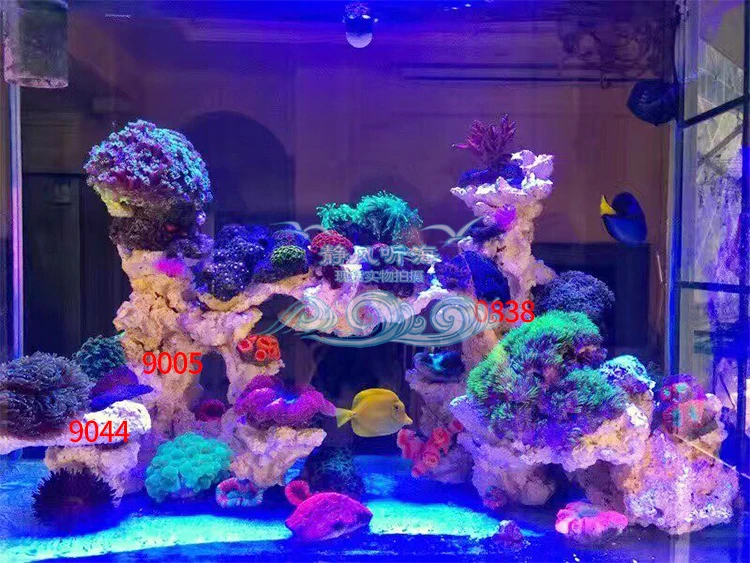 Новейшая морская вода, аквариум, каменный мертвый камень, микробный ландшафтный камень, свободный от взрывов водорослей