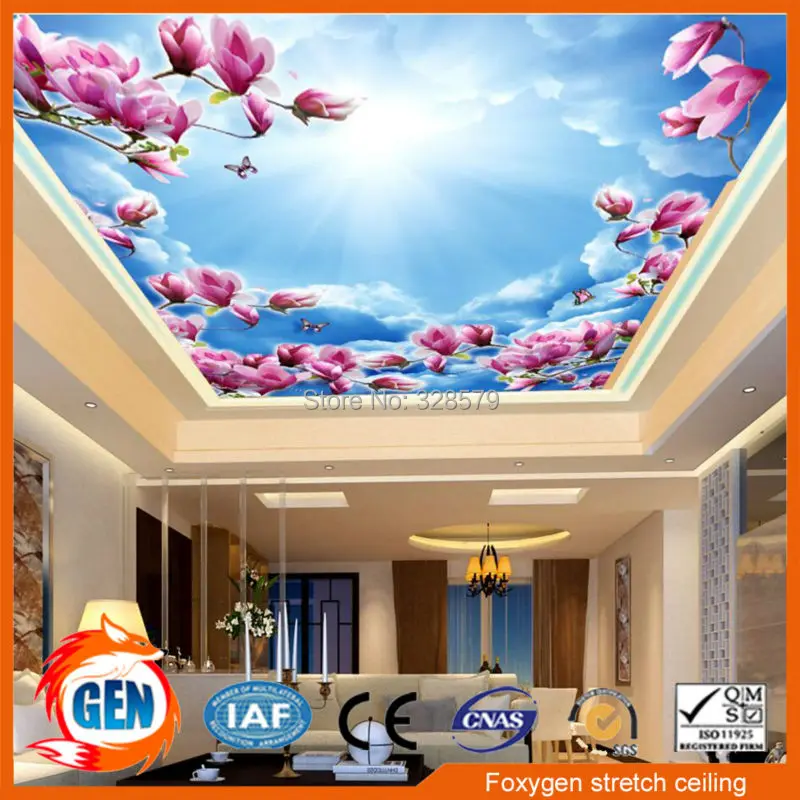 Дизайнерская дешевая потолочная плитка растягивающаяся система|system| |