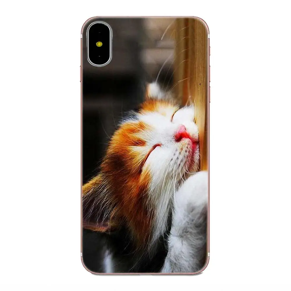 Мягкий силиконовый чехол Coute Sleeping Kitten Cat для Huawei Honor 4C 5A 5C 5X 6 6A 6X 7 7A 7C 7X 8 8C 8S 9 10 10i 20 20i