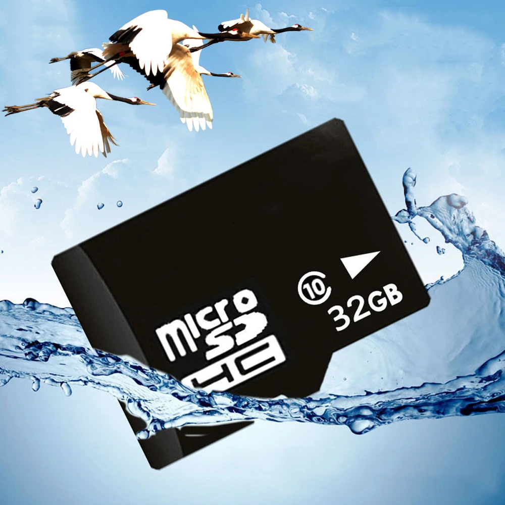 16 г/32 ГБ Class 10 высокая Скорость memorycards микро SDCARD TFCard Для soocoo на S70 c30r s20ws SJCAM SJ4000 xiaomi