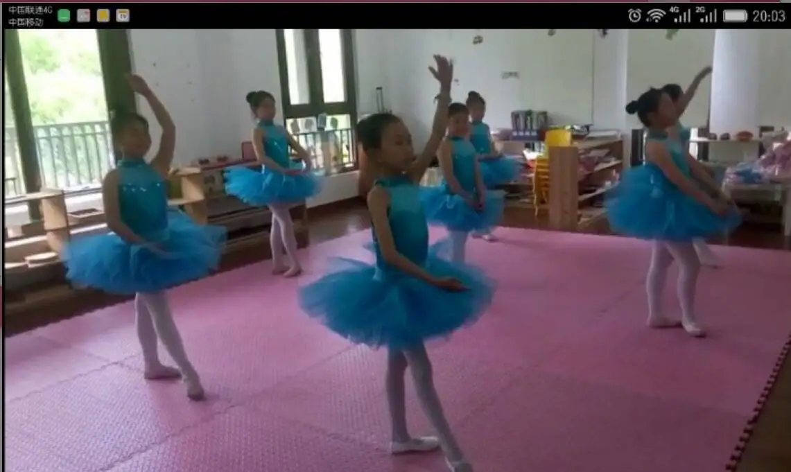 Новинка 2017 года балетная пачка для девочек размер на заказ синяя взрослых bolsa |