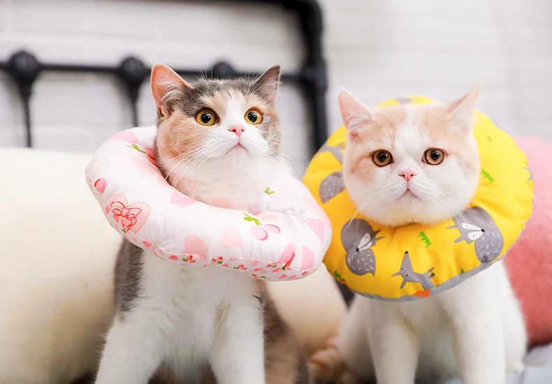 Hoopet Pet Cat Elizabeth круг-воротник защитный воротник для кошек фиксированные продукты для собак