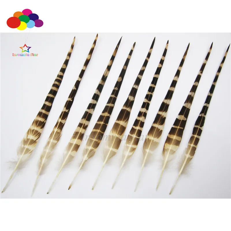 

10 pcs Natural Eagle Rare Pheasant Feathers 6-10Inch /15-25 Cm Diy Decoration Carnival Costume Mask Headdress Crafts