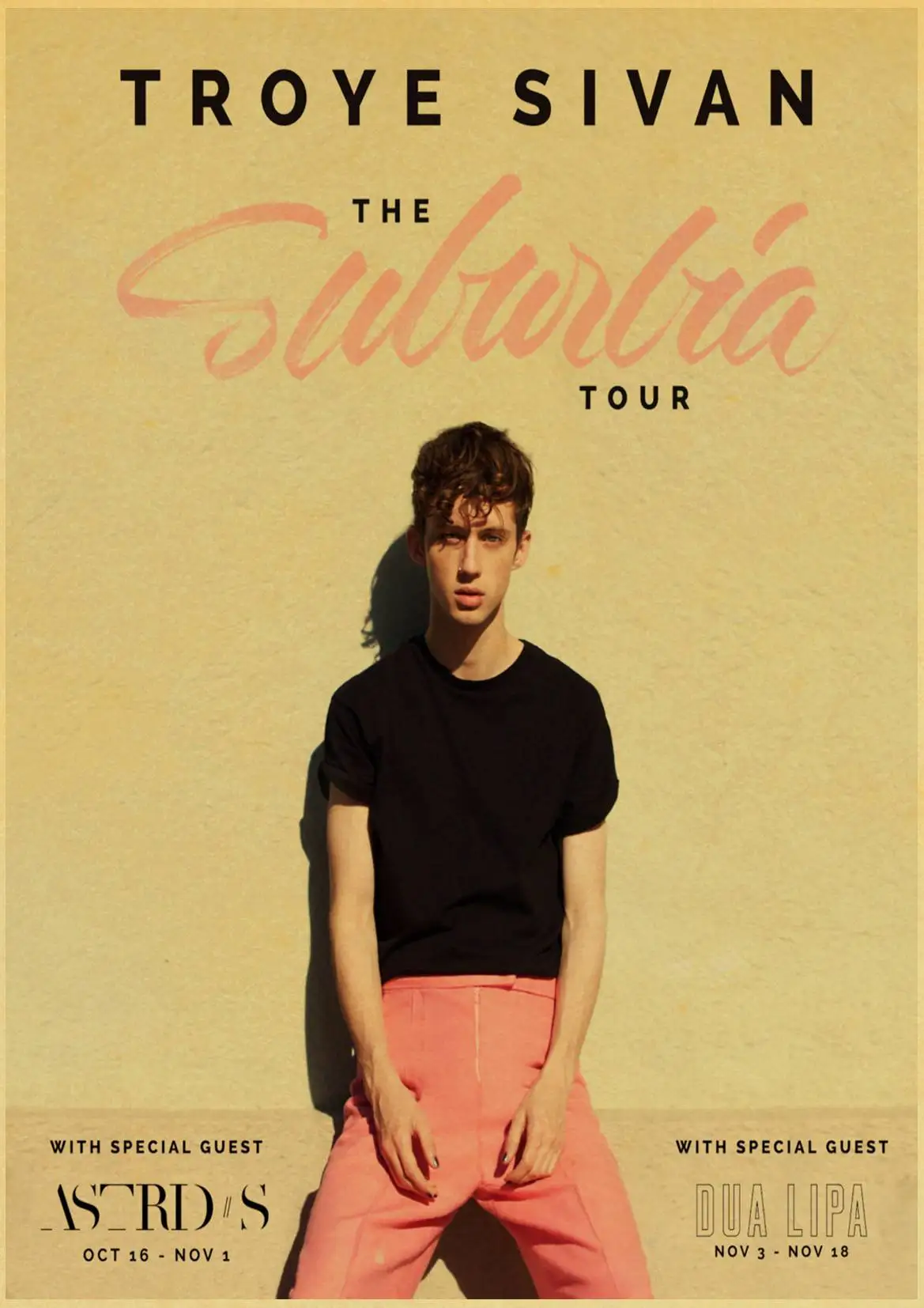 Австралия певец Troye Sivan альбом фото ретро постер ВИНТАЖНЫЙ ПЛАКАТ настенный Декор для дома Бар Кафе для детской комнаты