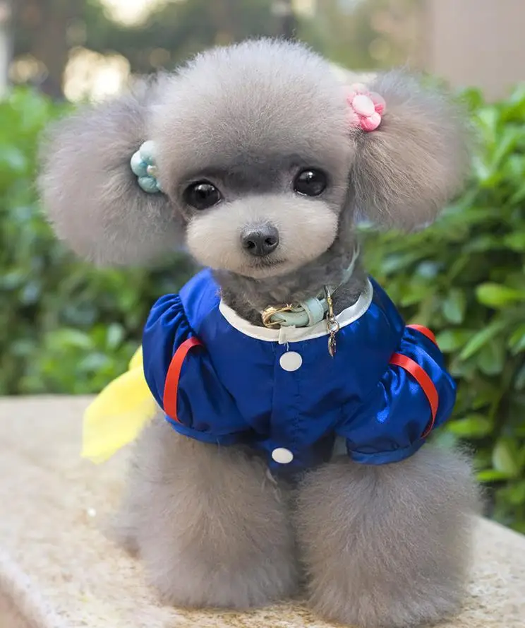 Классическое платье для чихуахуа кружевное свадебное принцессы с белым снегом