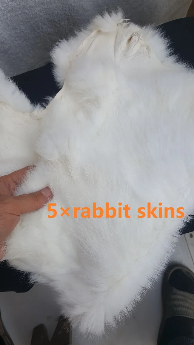 

Белые шкуры из кроличьей кожи, 5 шт.