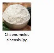 50 грамм набор Garcinia cambogia Chaenomeles sinensis - Цвет: 200g Chaenomeles sin