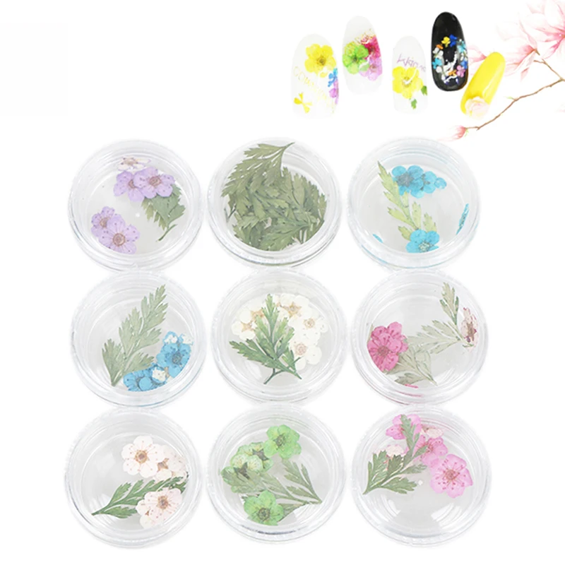 1 бутылка высушенные цветы наклейки для дизайна ногтей сухое цветочное украшение